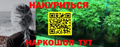прущие крисы Новокубанск