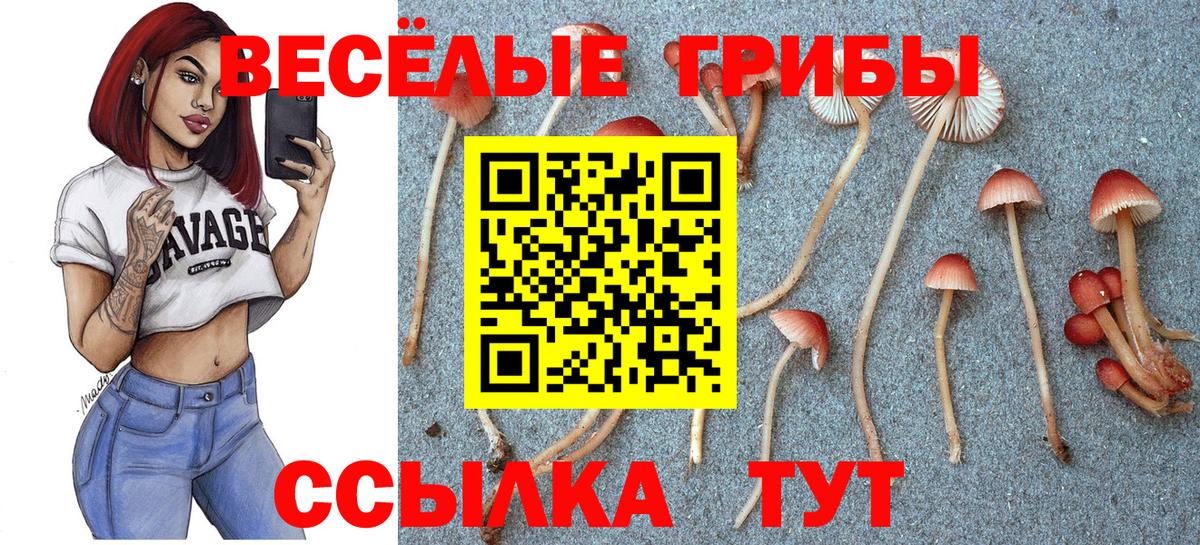 Галлюциногенные грибы ЛСД  Галлюциногенные грибы GOLDEN TEACHER  Вход с VPN  Сургут 