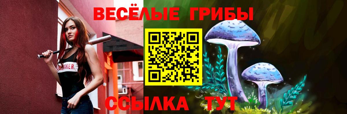 Галлюциногенные грибы Magic Shrooms Сургут